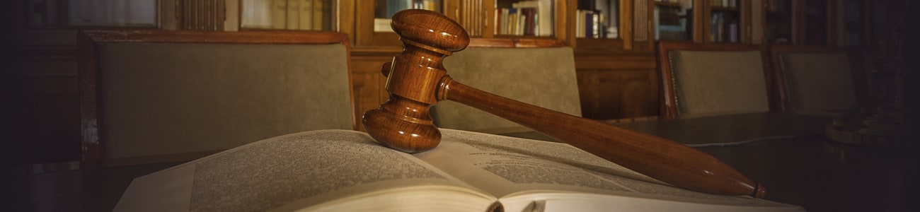 Banner picture of a gavel over a book