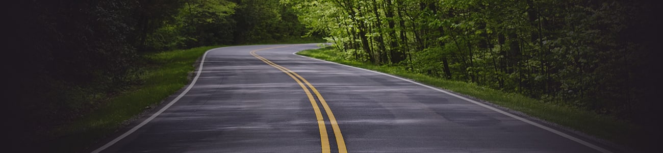 Banner picture of road with trees on both sides