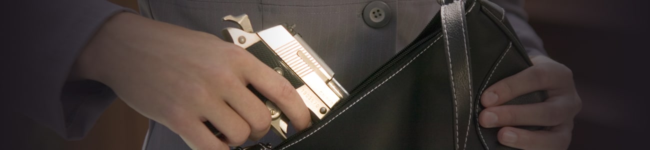 Banner picture of a gun-in-purse