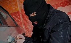 Theft and Property Crimes