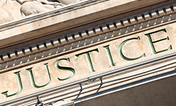 Federal and State Appeals