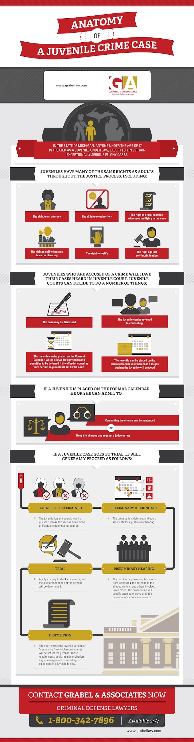 Anatomy of a Juvenile Crime Case infographic